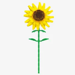 Sonnenblume