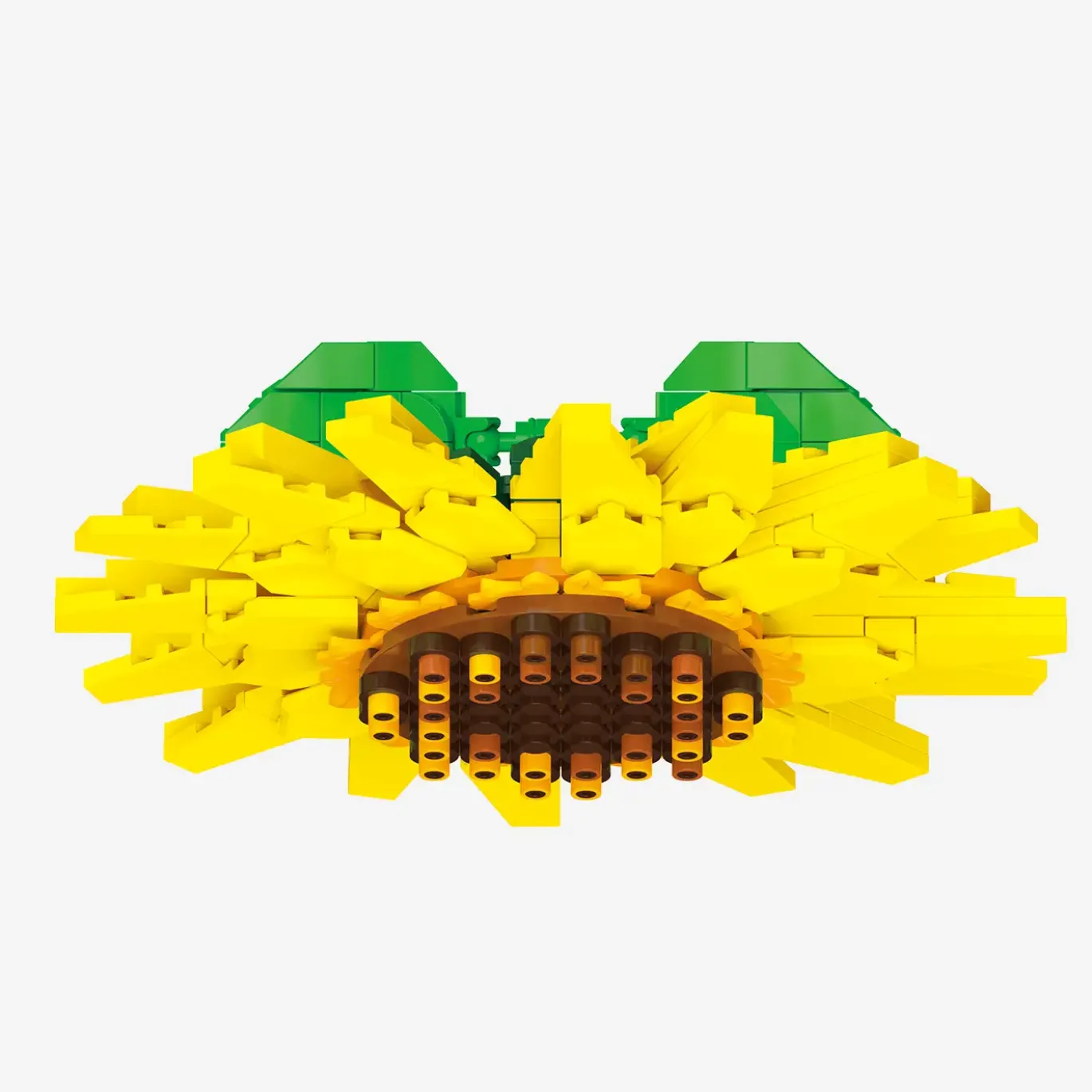 Sonnenblume