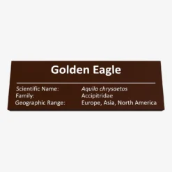 Steinadler