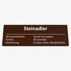 Steinadler