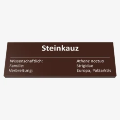 Steinkauz