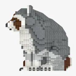Waschbär